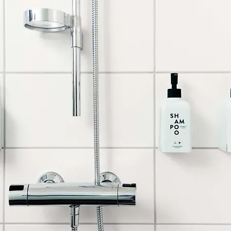 斯堪迪克帕齐亚酒店 4*