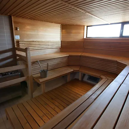 斯堪迪克帕齐亚酒店 酒店